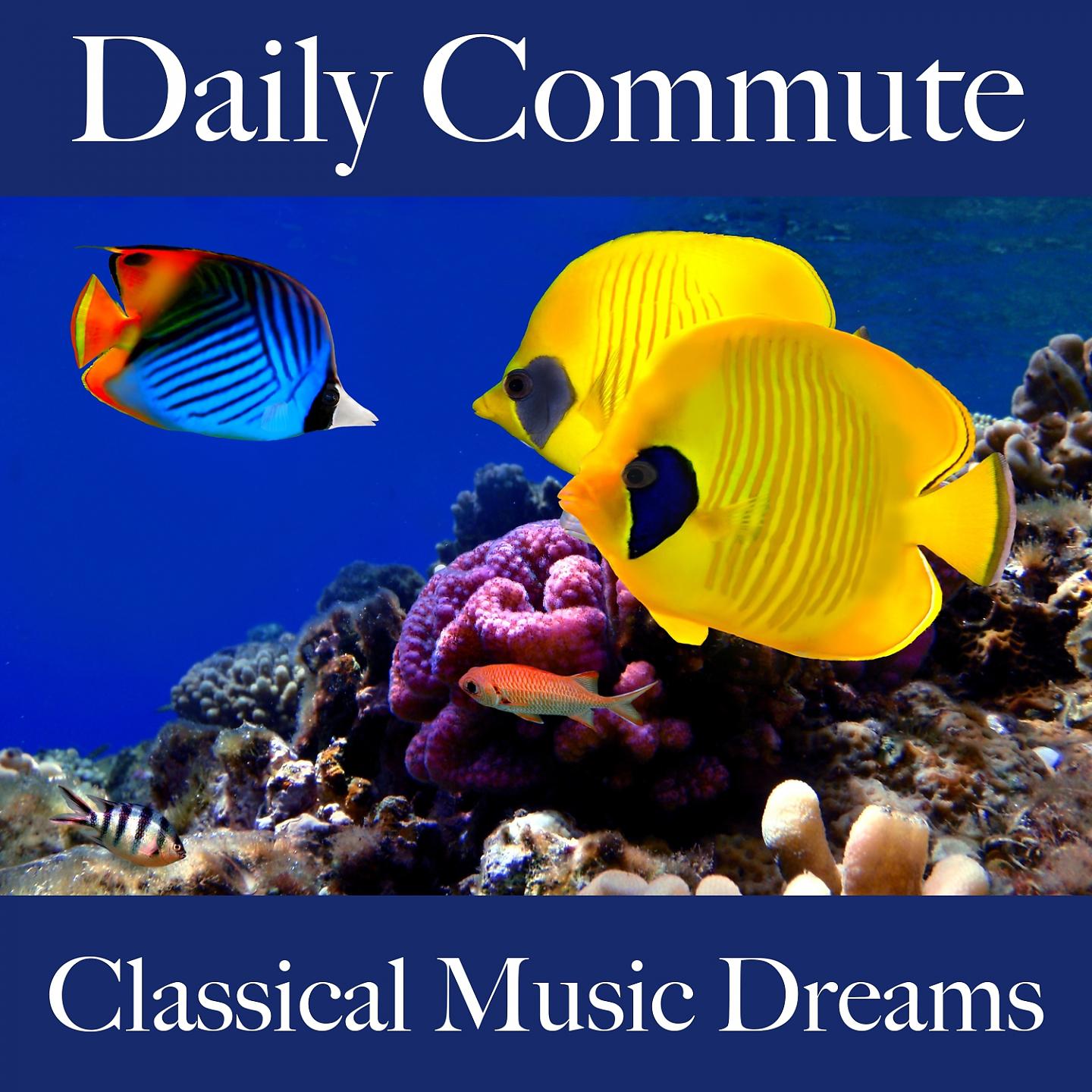 Постер альбома Daily Commute: Classical Music Dreams - Les Meilleurs Sons Pour Se Détendre