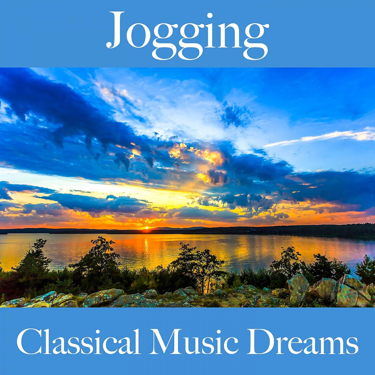 I Musici - The Four Seasons, Violin Concerto No. 4 in F Minor, RV 197 'L'inverno': II. Largo