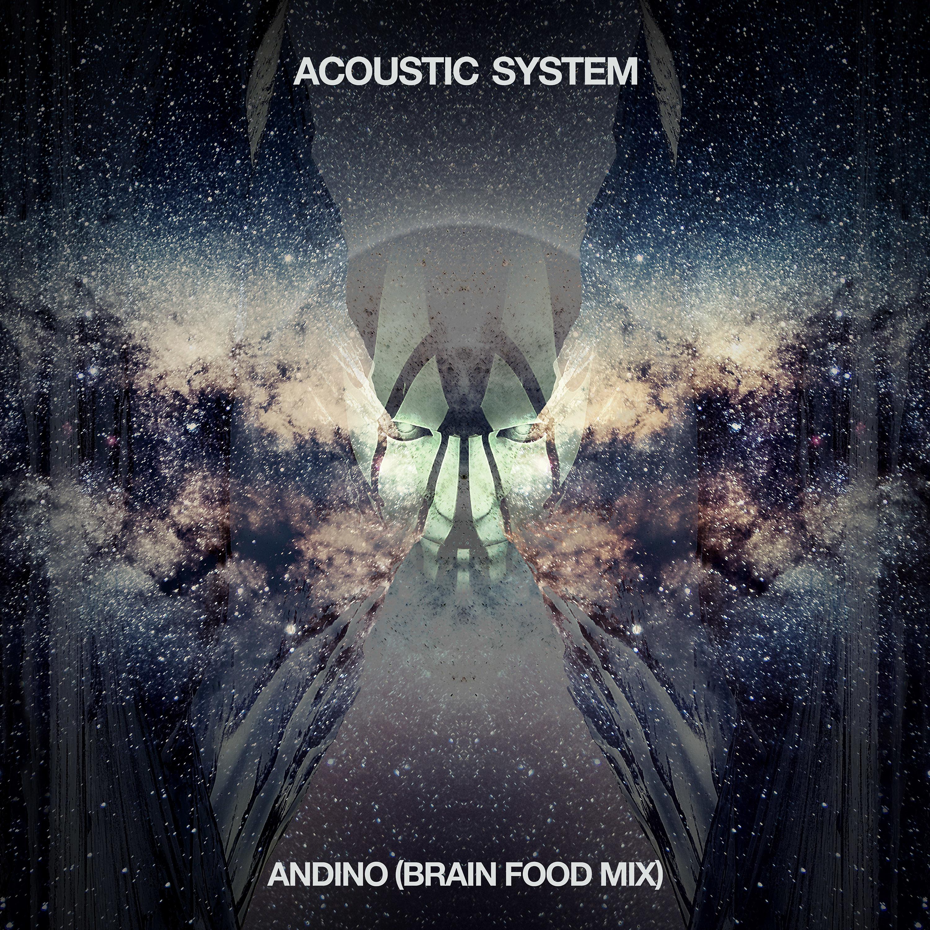 Постер альбома Andino (Brain Food Mix)