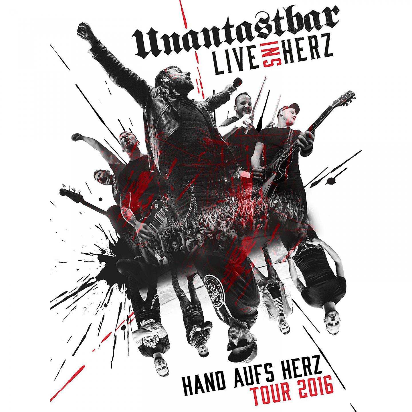 Постер альбома Live ins Herz