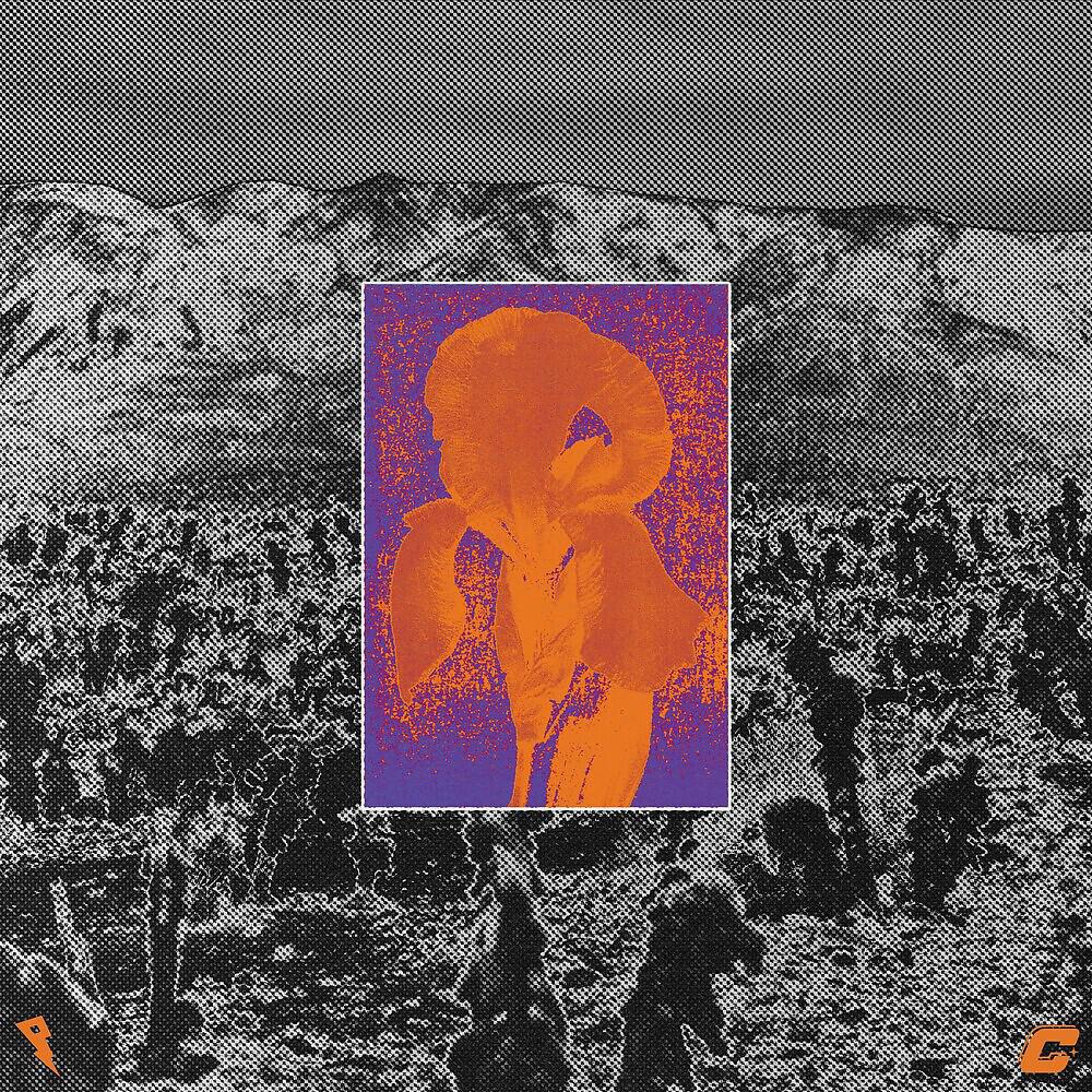 Tails - Stranded