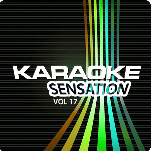 Постер альбома Karaoke Sensation, Vol. 17 : Best of Captain & Tennille