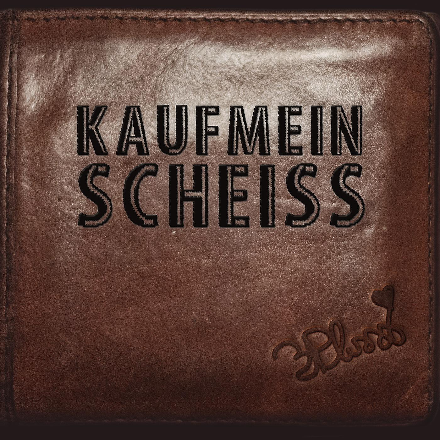 Постер альбома Kaufmeinscheiss
