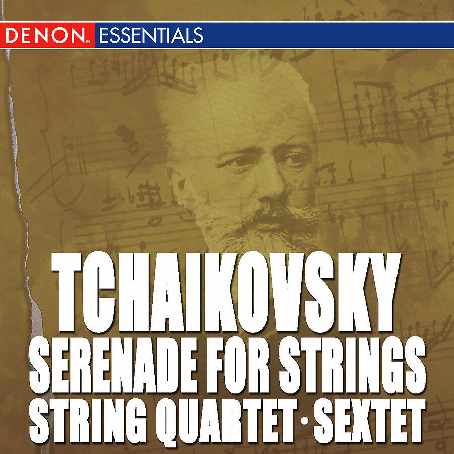 Chamber Orchestra - Sextet for Strings in D Minor, Op. 70: III. Allegretto moderato