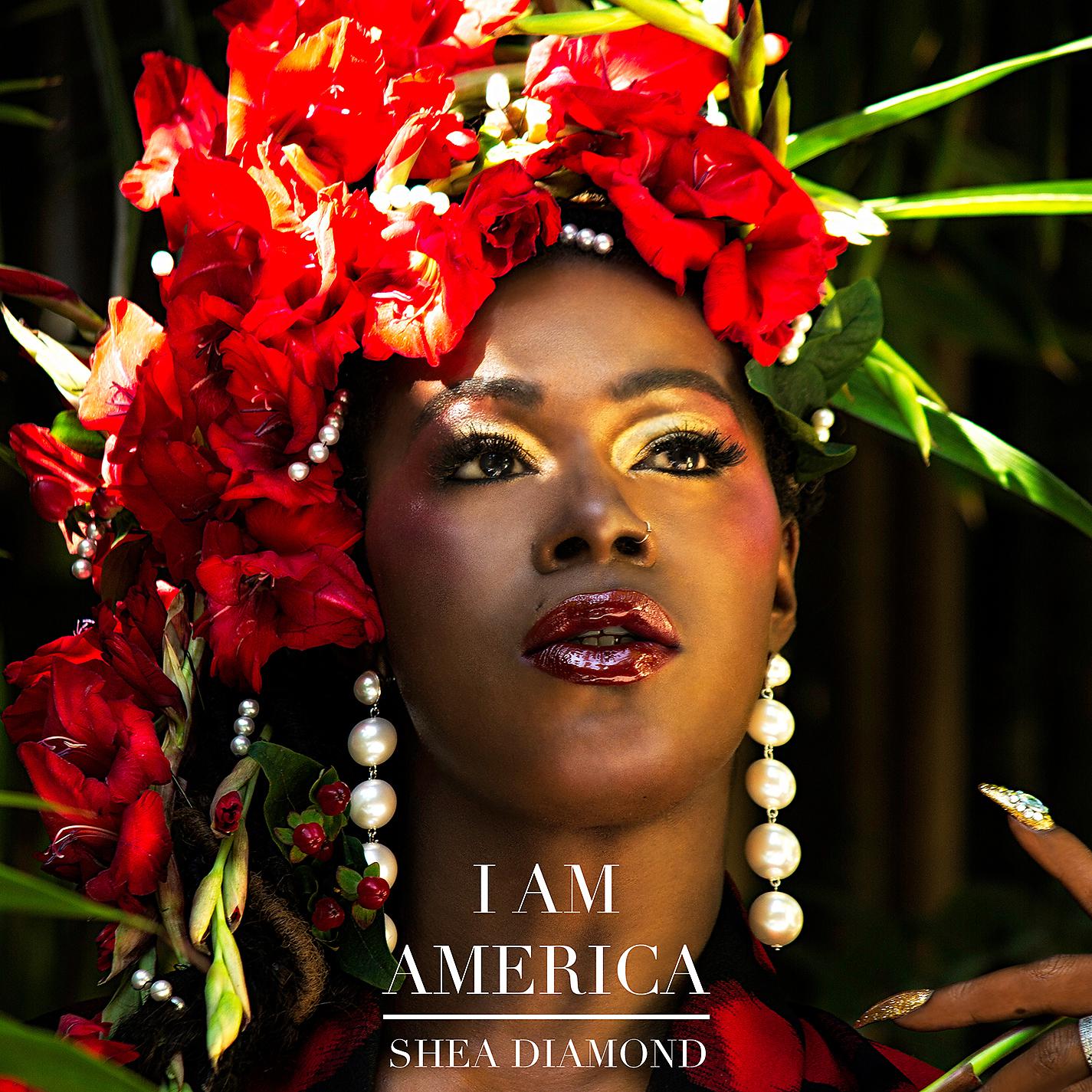 Постер альбома I Am America