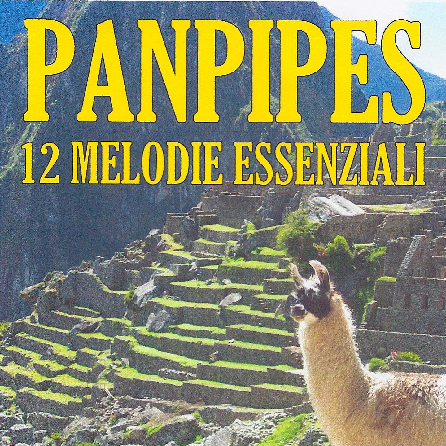 Постер альбома Panpipes : 12 melodie essenziali