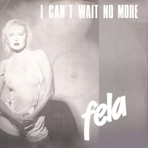 Fela - I Can't Wait No More (House Version)