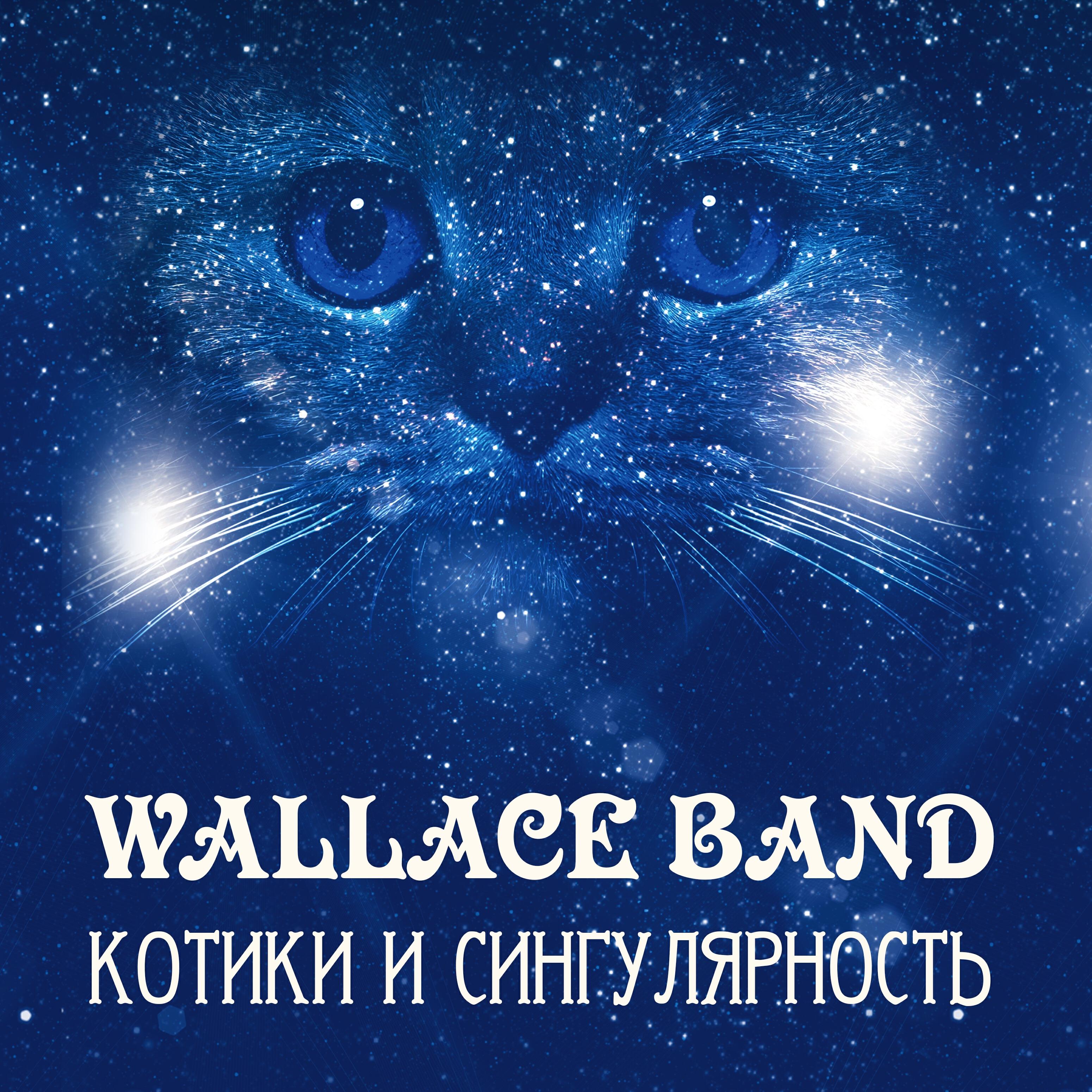 Wallace Band - Разнообразие