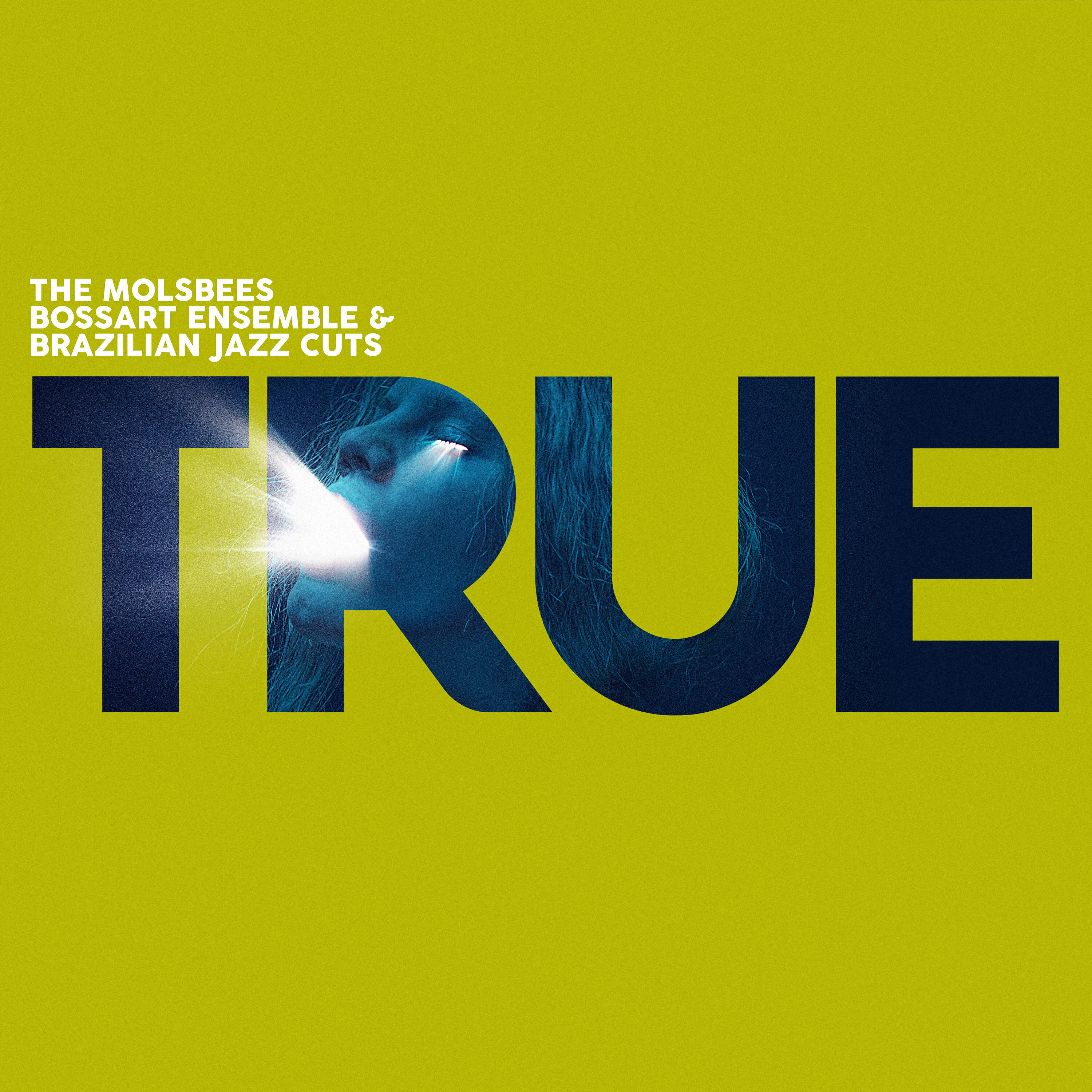 BossArt Ensemble - True
