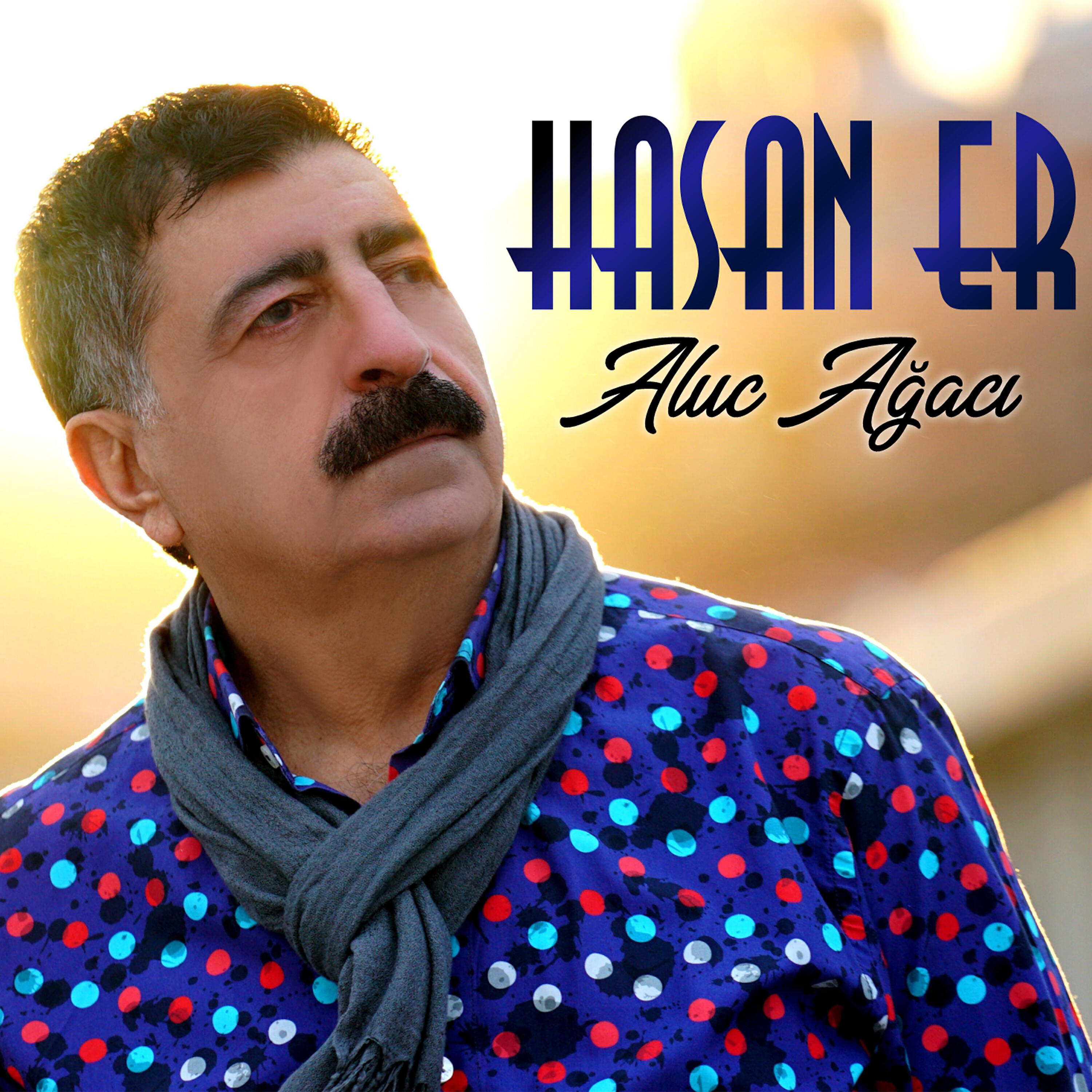 Hasan Er - Aramam Seni