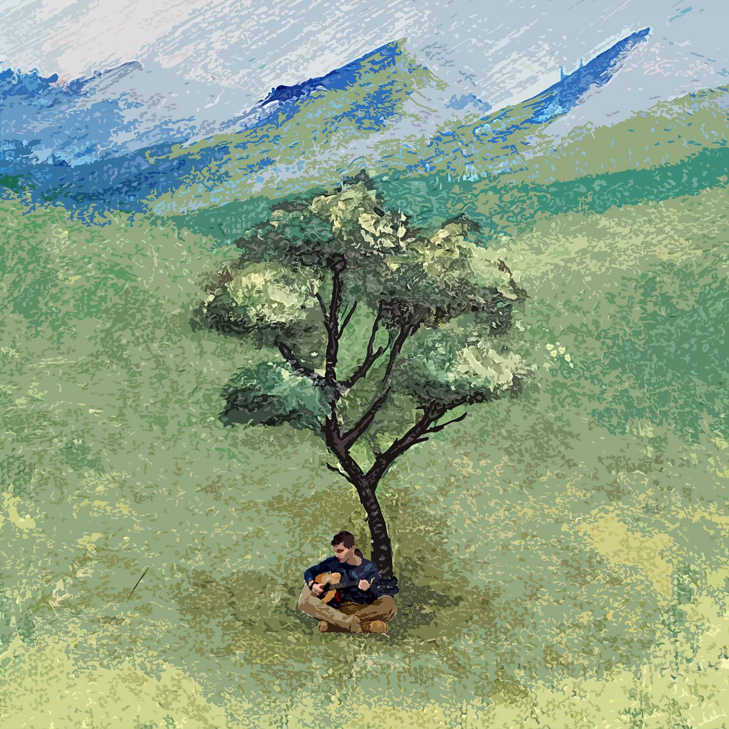 Постер альбома Armut Ağacı