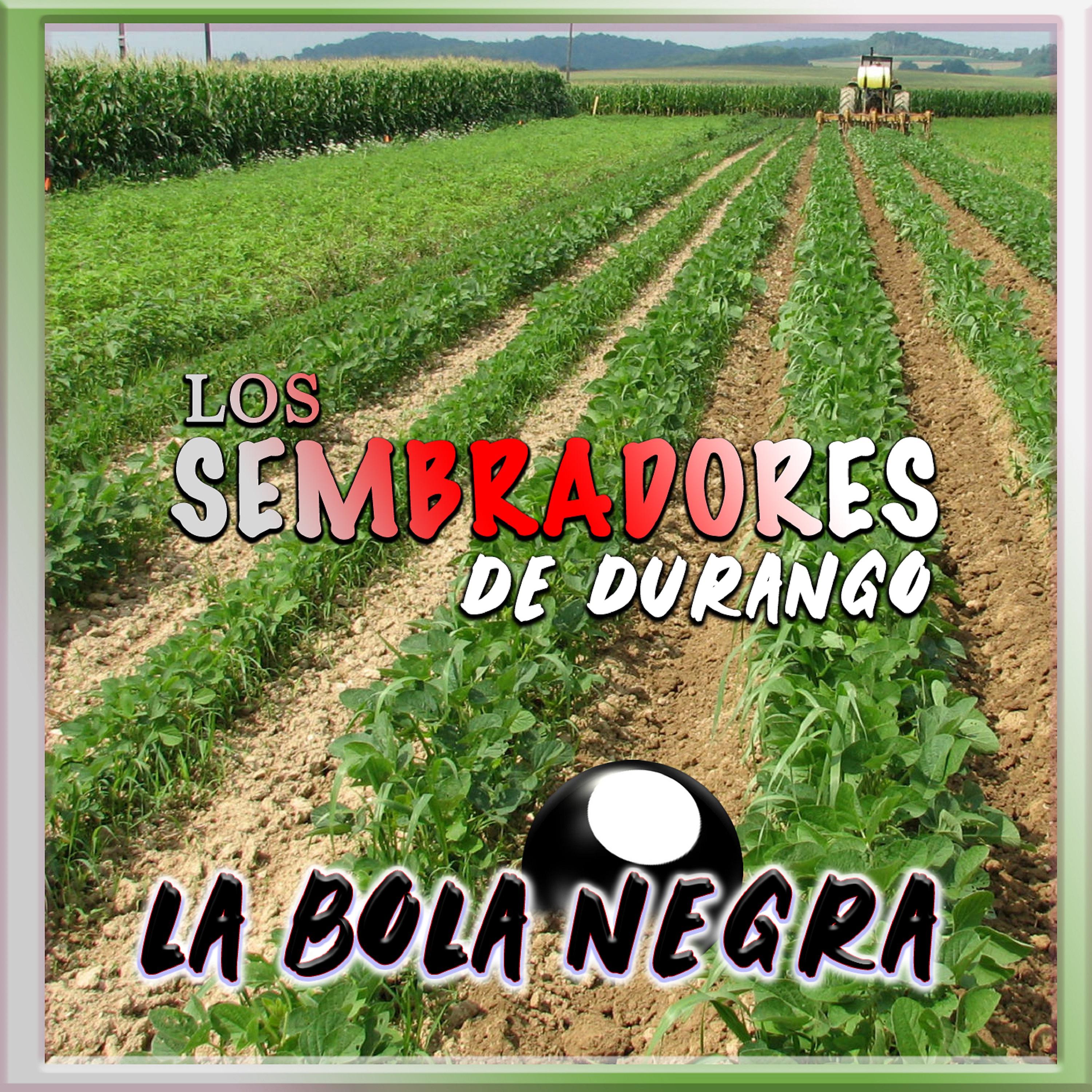 Постер альбома La Bola Negra (En Vivo)