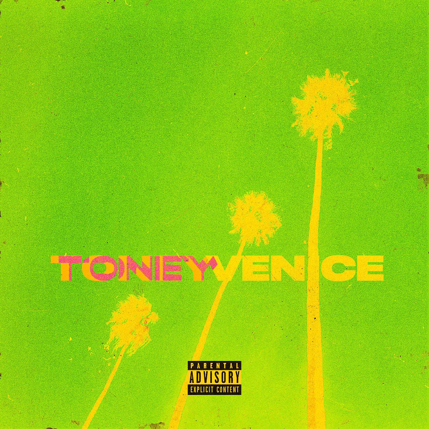 Постер альбома Venice