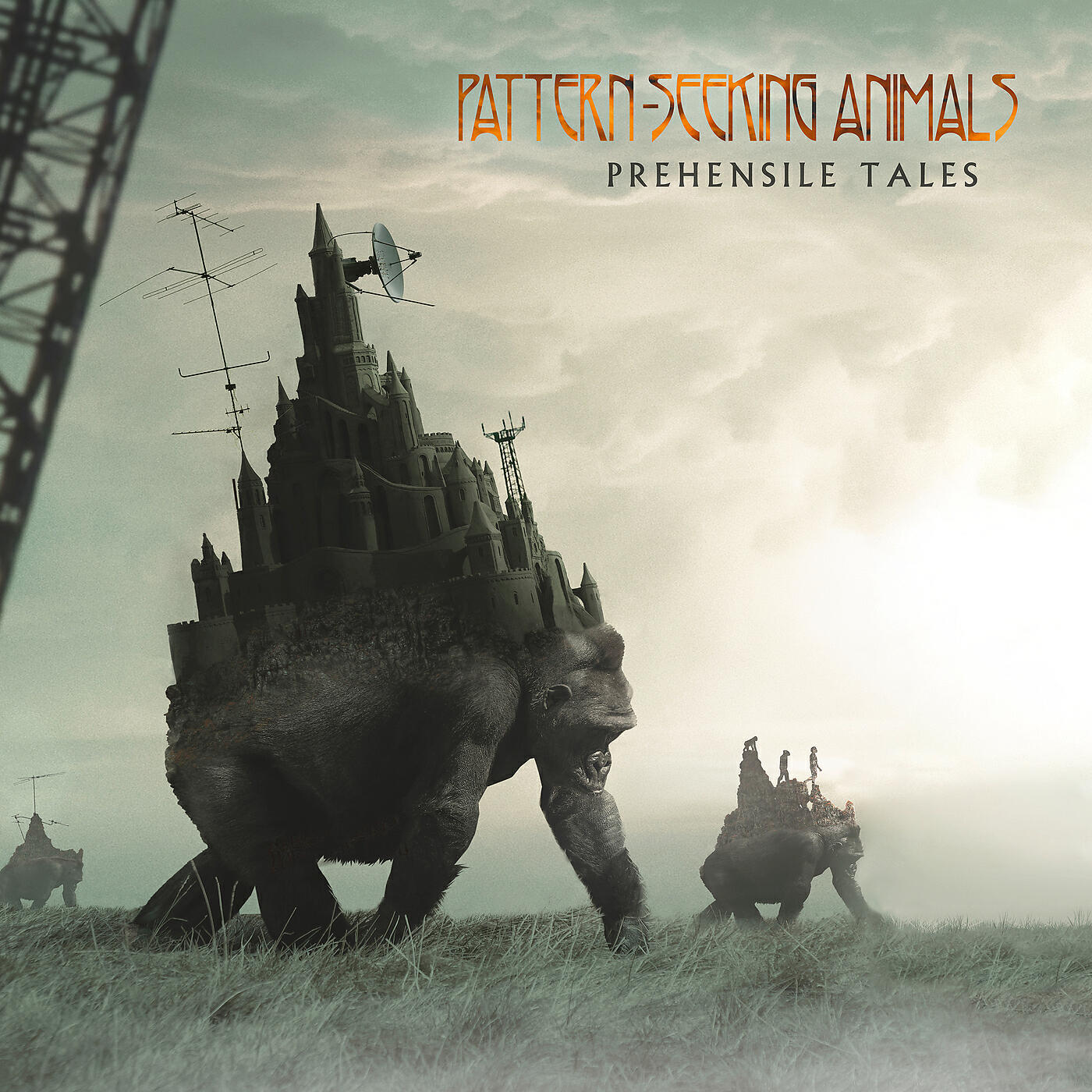 Pattern-Seeking Animals - Soon But Not Today