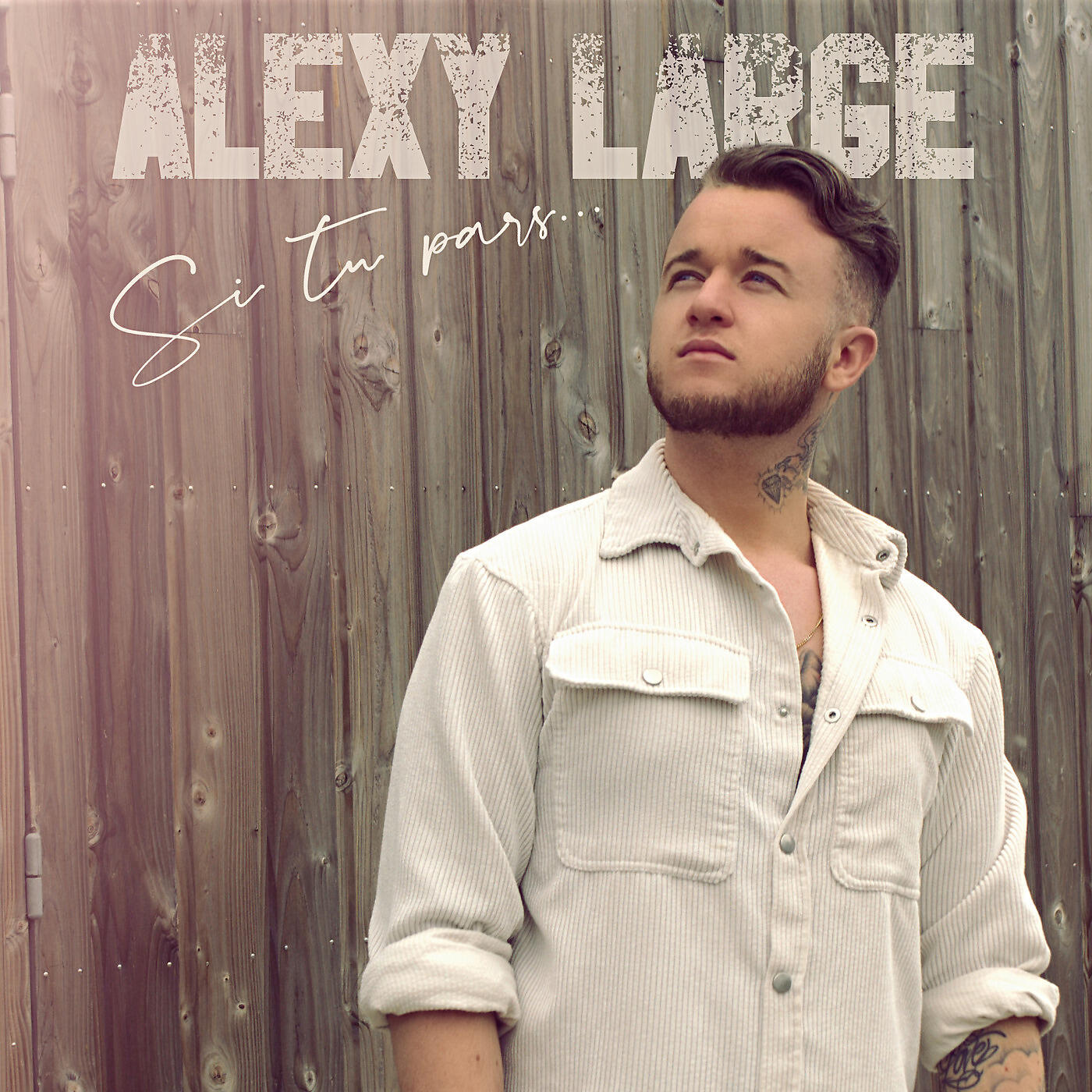 Alexy Large - Si tu pars