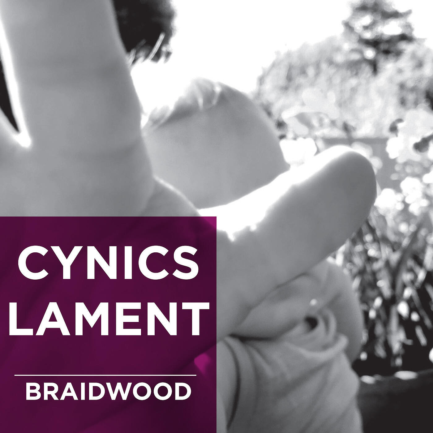 Braidwood - Pretentious, Moi?