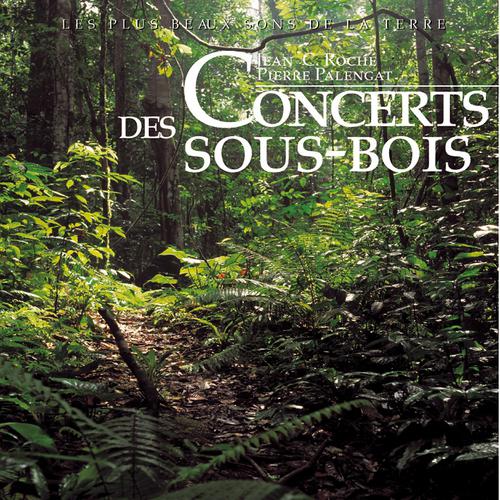 Постер альбома Concerts des sous-bois