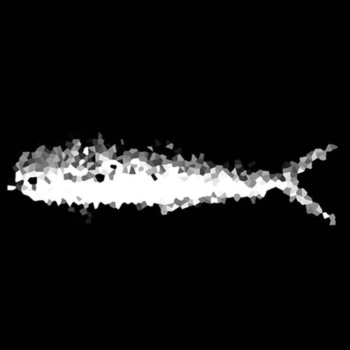 Remute - Lampuca for Everyone (AFFKT & Rafa Siles Remix)
