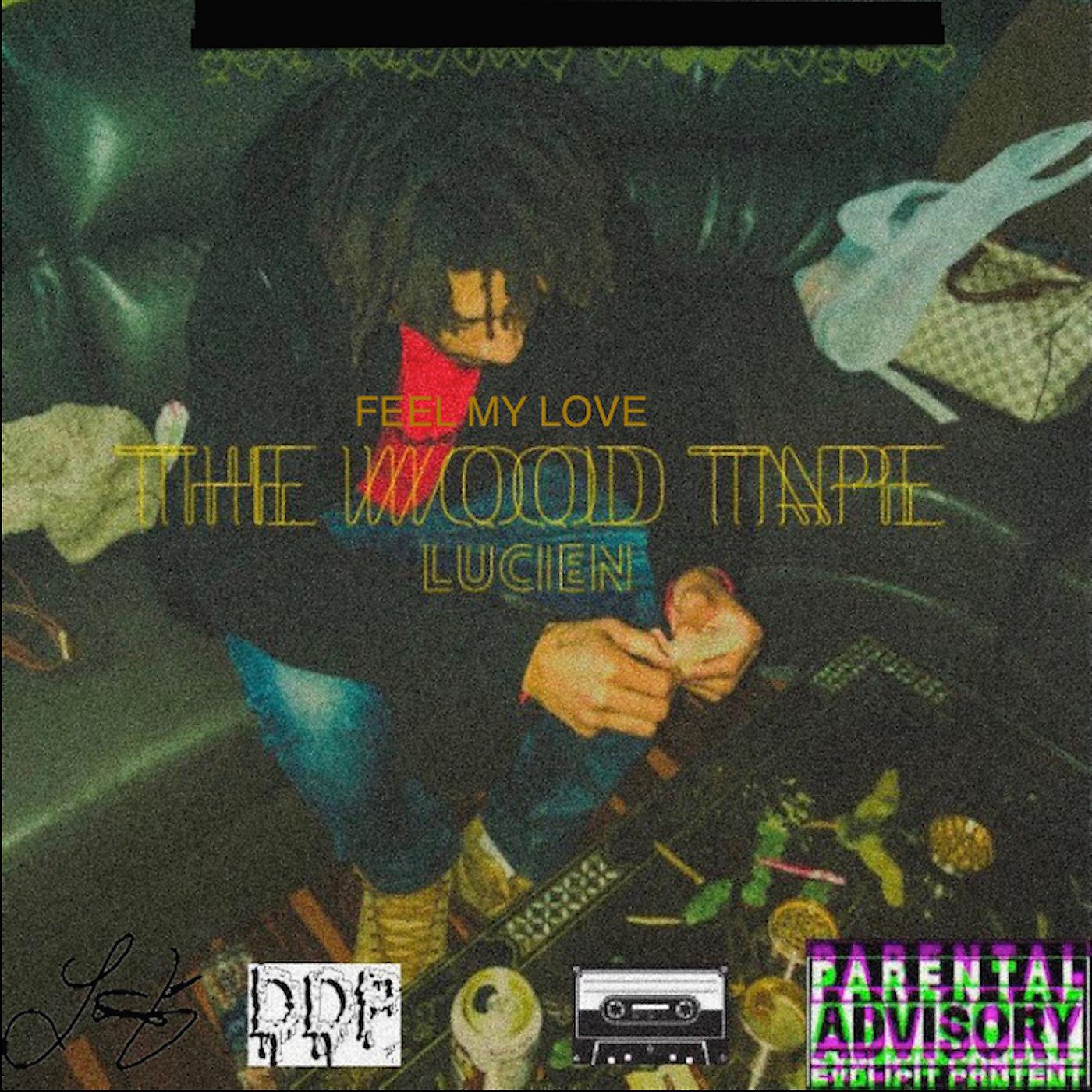 Постер альбома The Wood Tape: Feel My Love