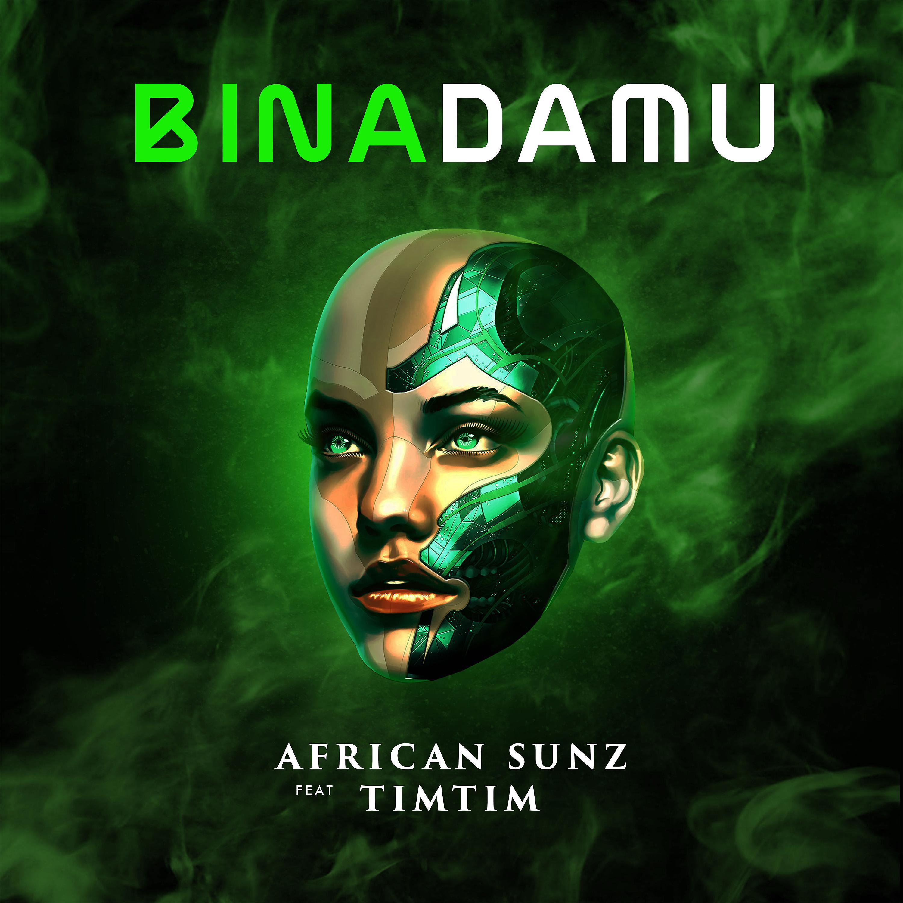 Постер альбома Binadamu