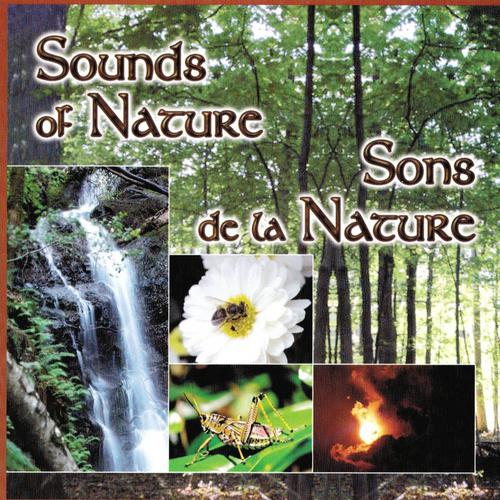 Постер альбома Sons de la nature, Vol. 2