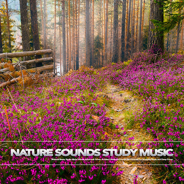 Study Music - Alpha Waves Concentration Music