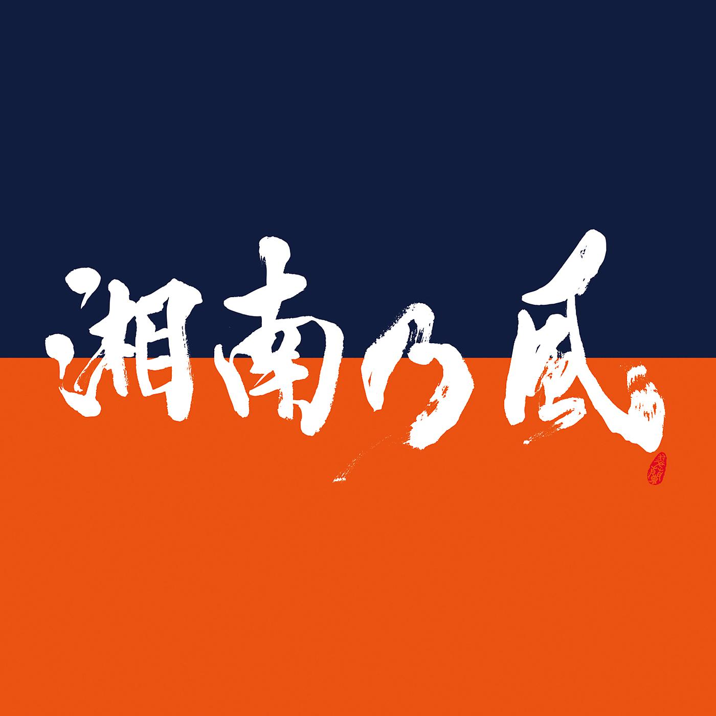 Постер альбома Shounanno Kaze -Come Again-