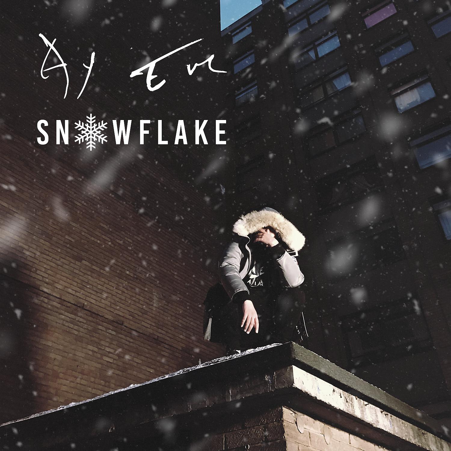 Постер альбома Snowflake