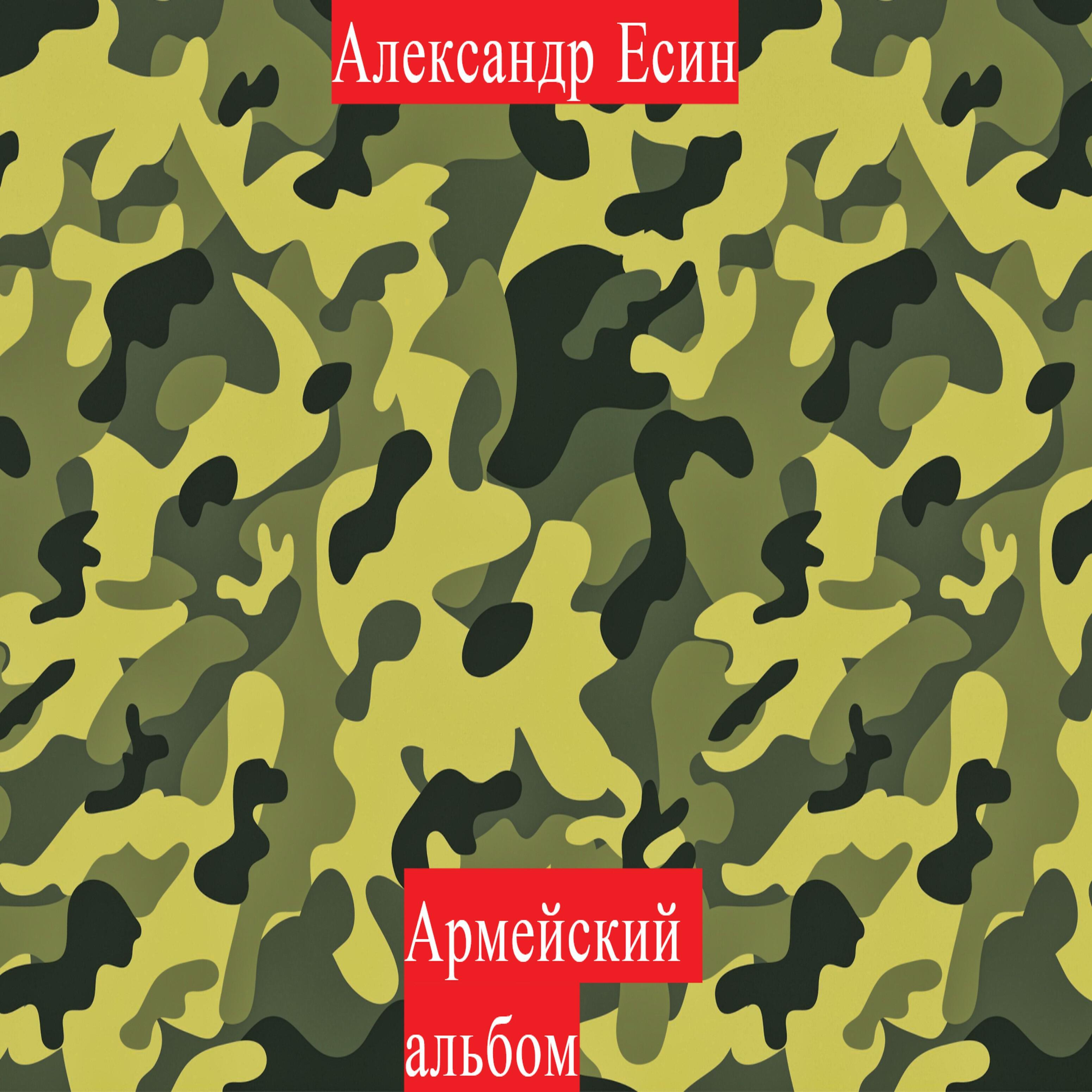 Александр Есин - Армия (Version 2007)