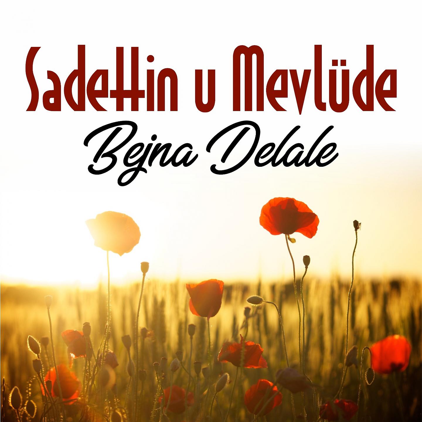 Постер альбома Bejna Delale