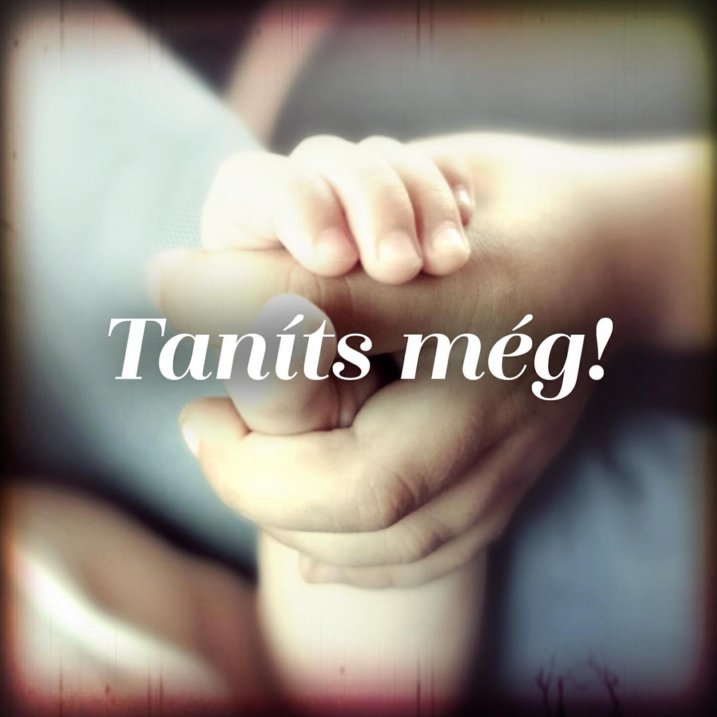 Kelemen Kabátban - Taníts még!