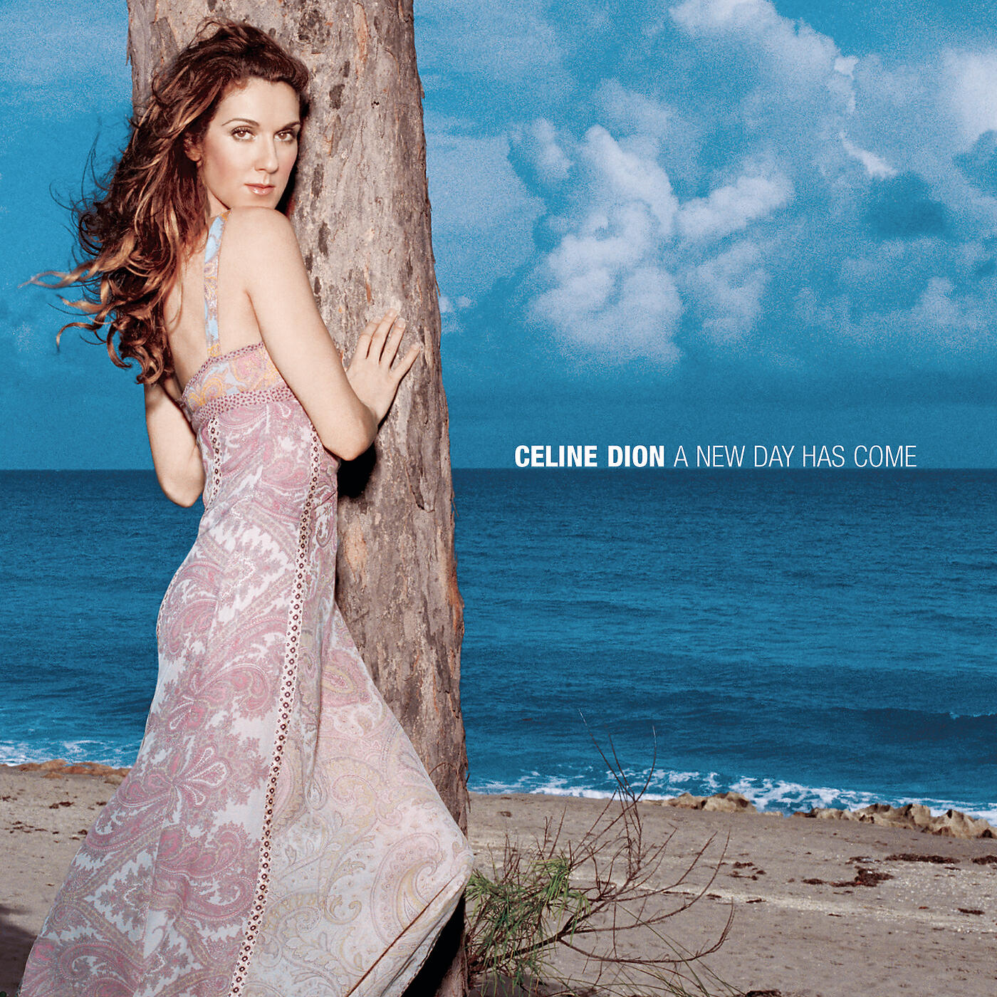 Celine Dion - Nature Boy
