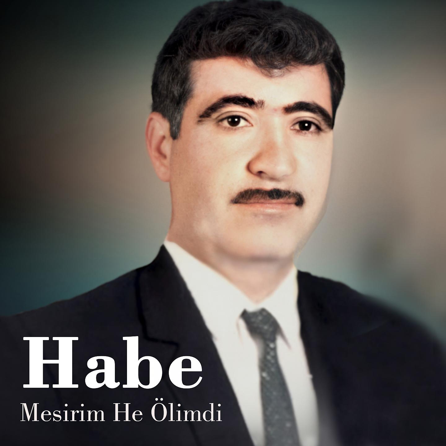 Постер альбома Mesirim He Ölimdi