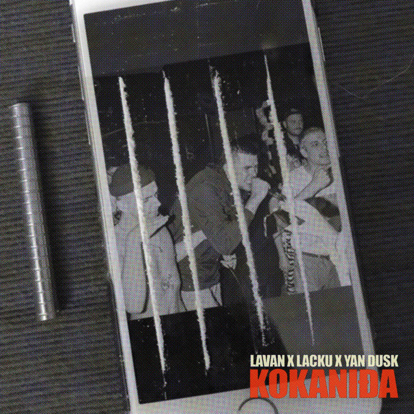 Постер альбома Kokaniđa