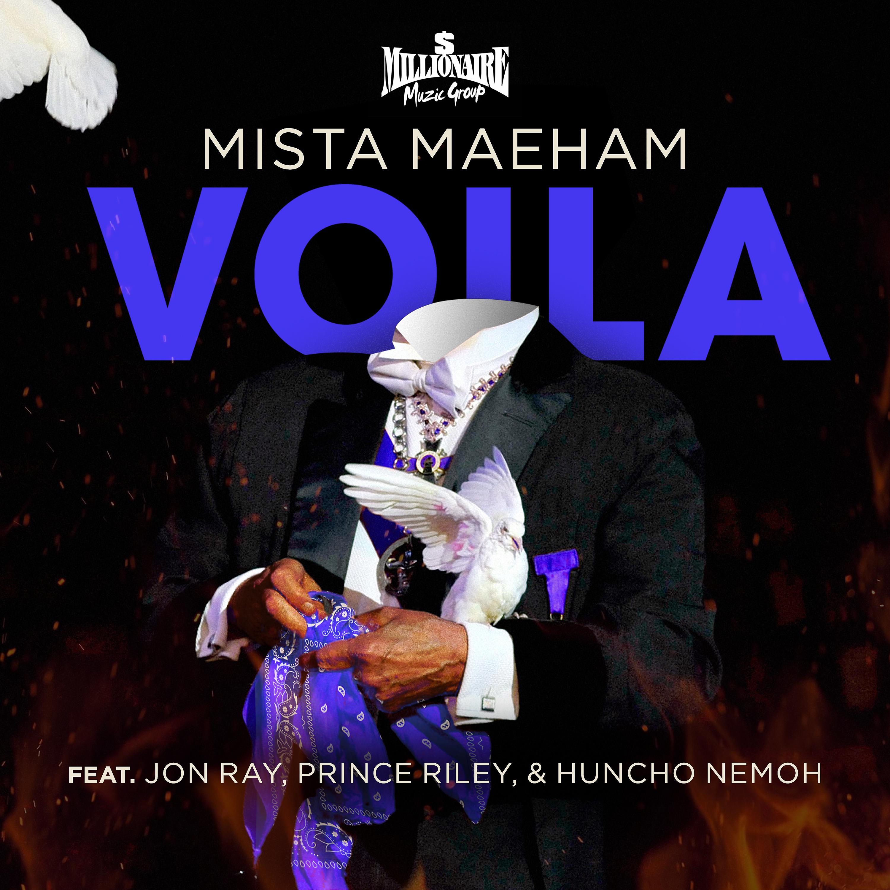 Постер альбома Voila