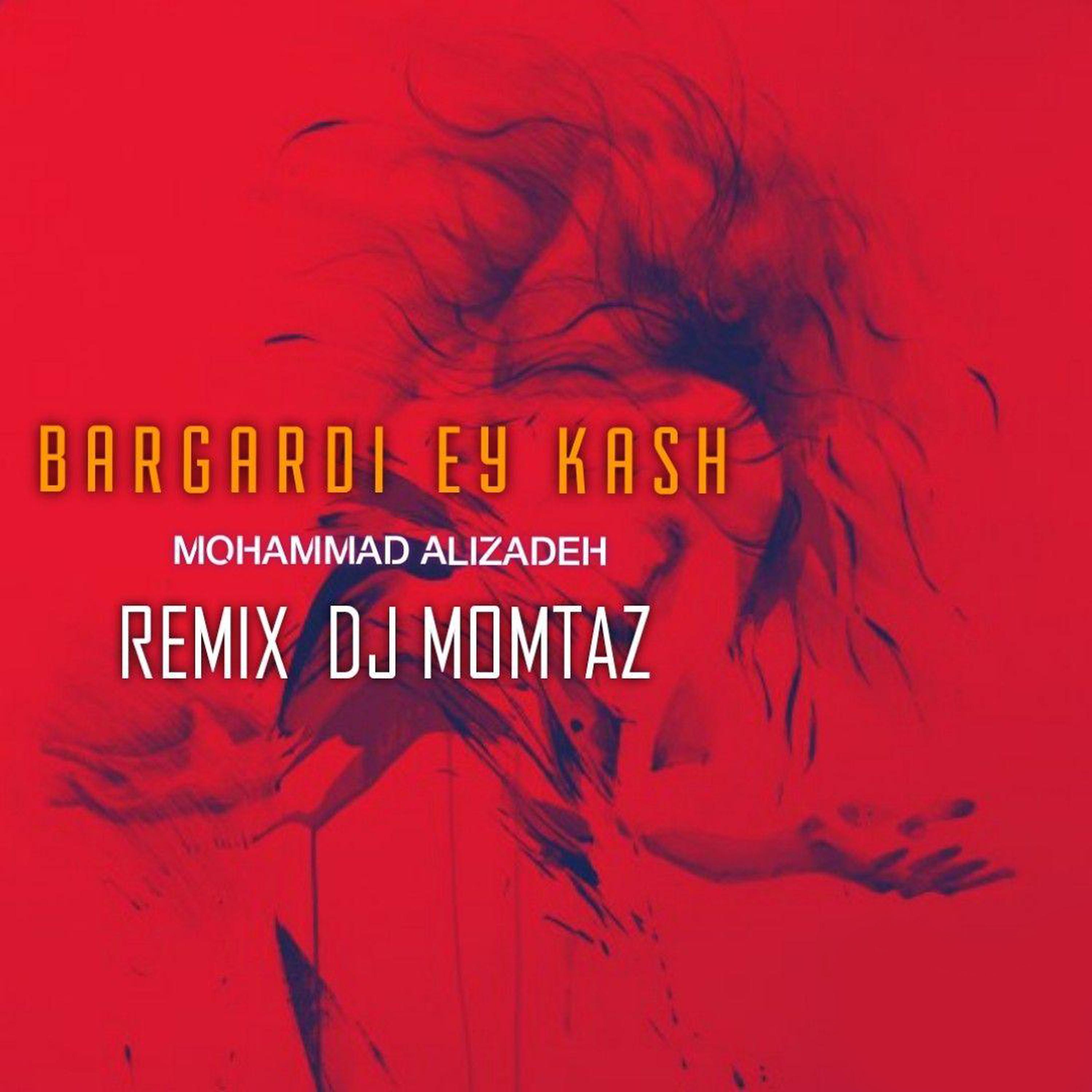 Постер альбома Bargardi Ey Kash (Dj Momtaz Remix)