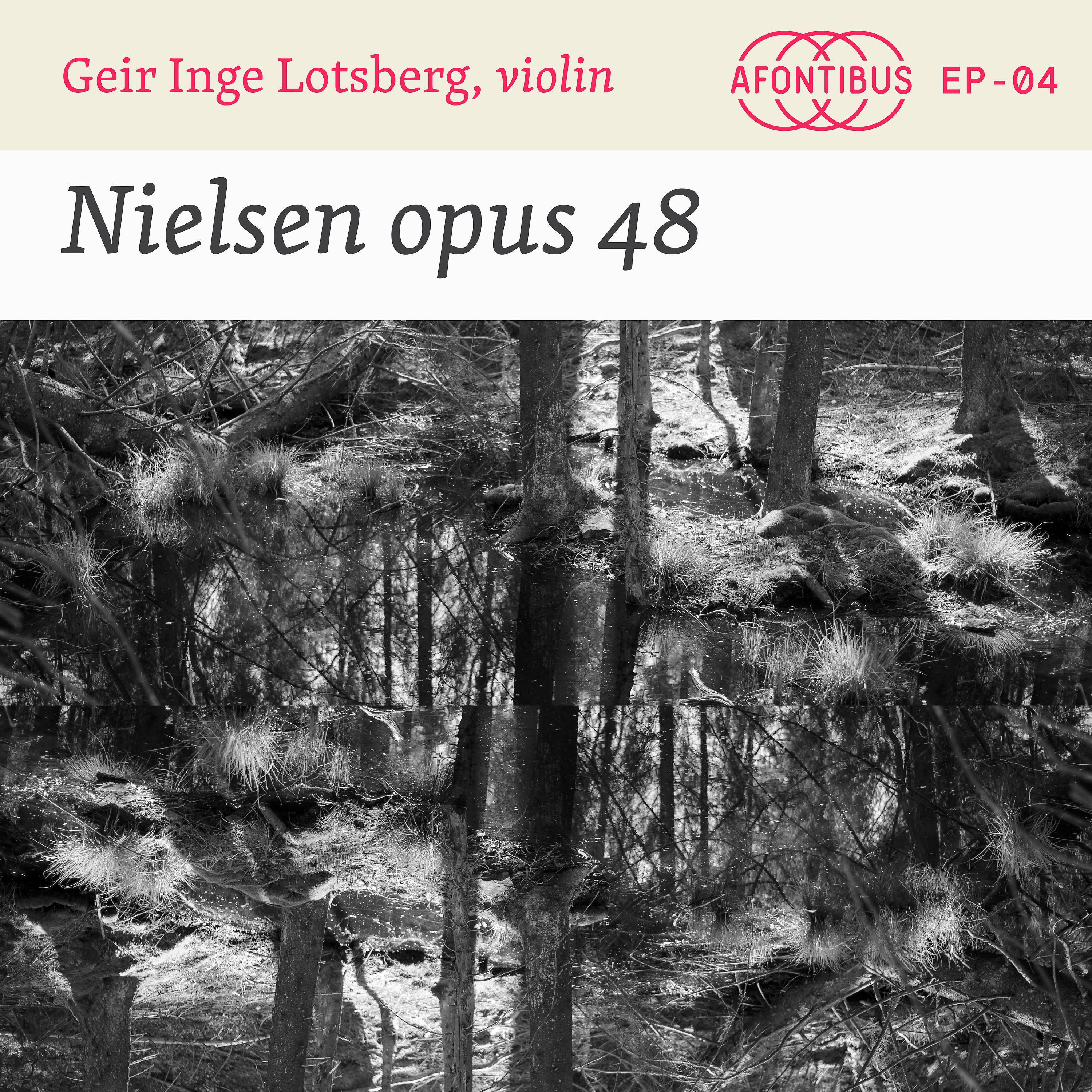Постер альбома Nielsen opus 48