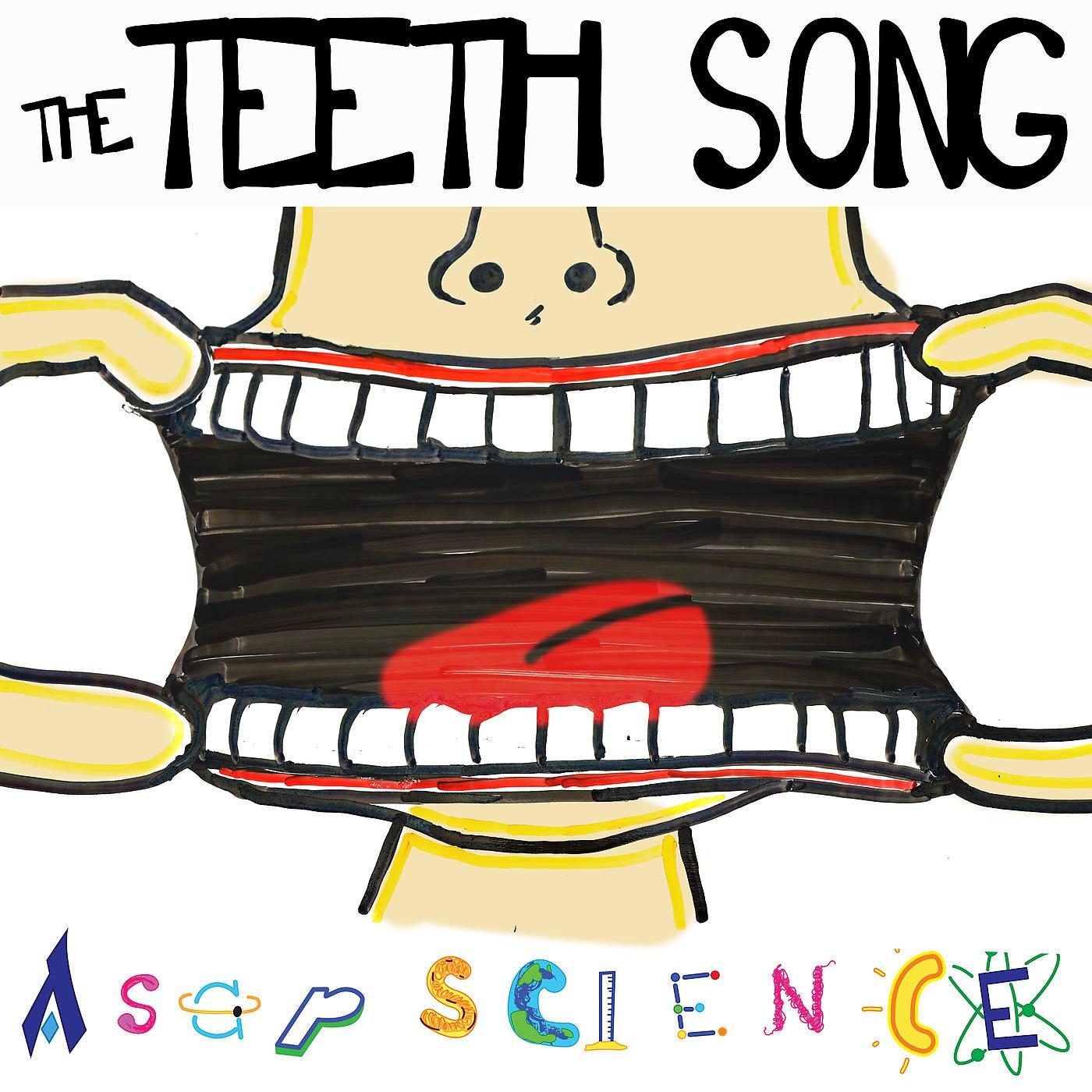 Постер альбома The Teeth Song