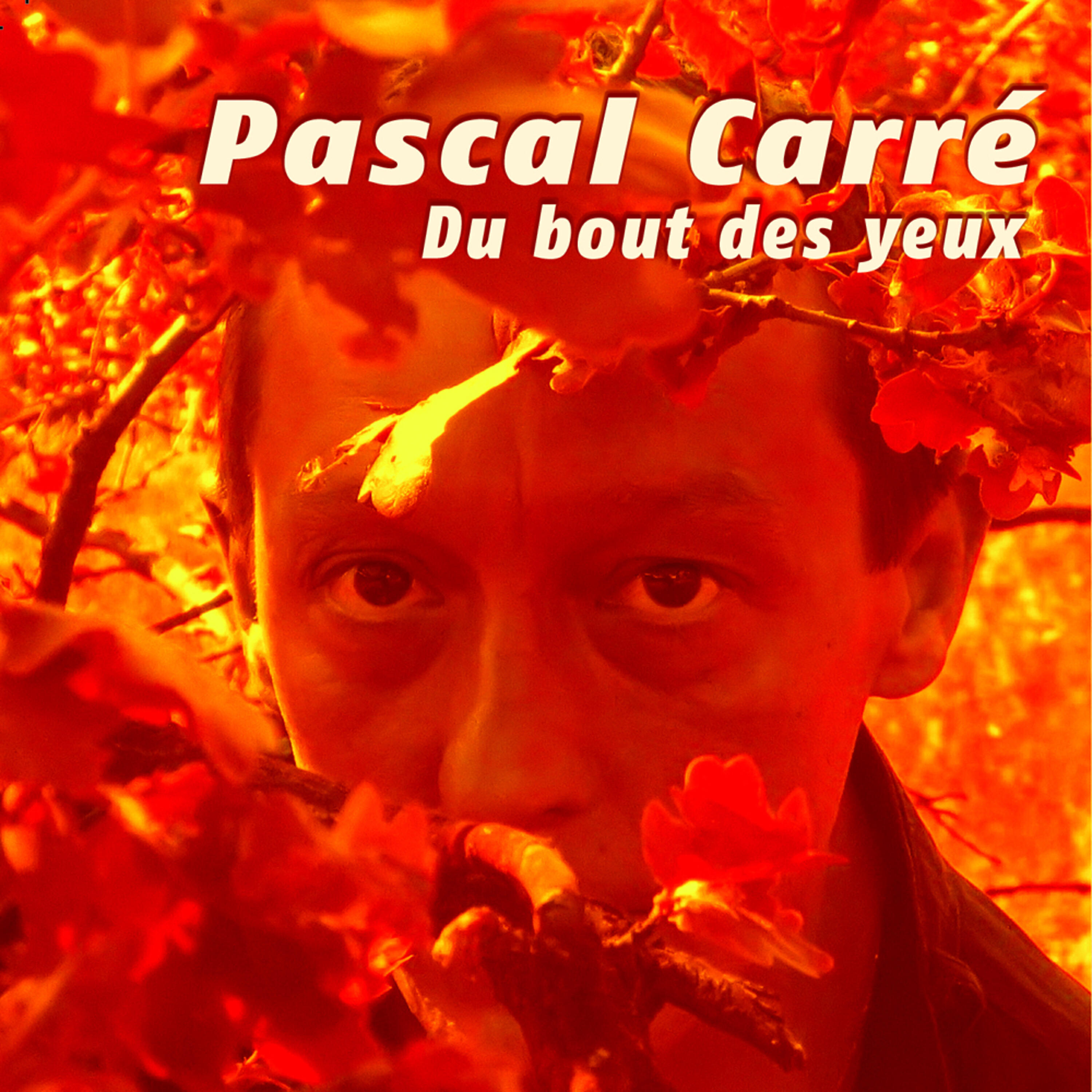 Pascal Carré - Romy