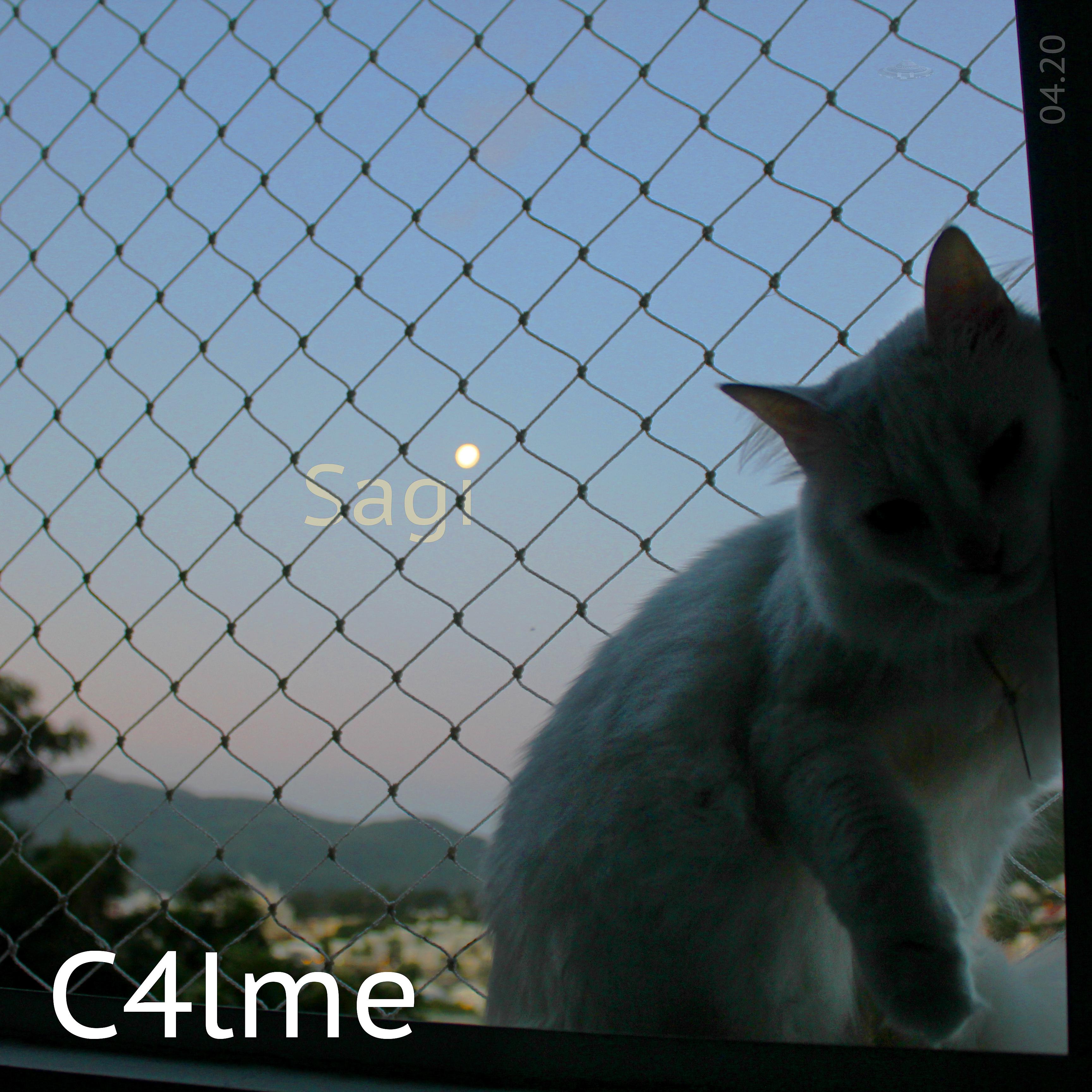 Постер альбома C4lme
