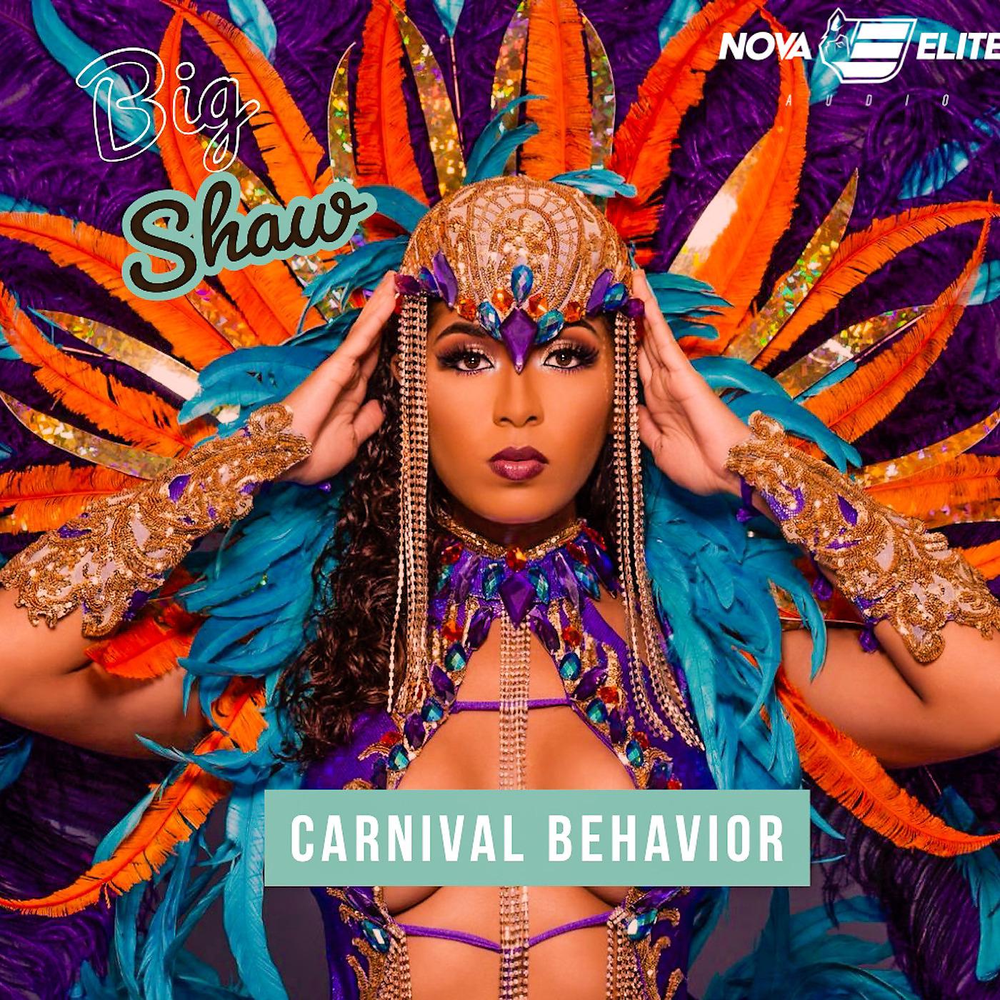 Постер альбома Carnival Behavior