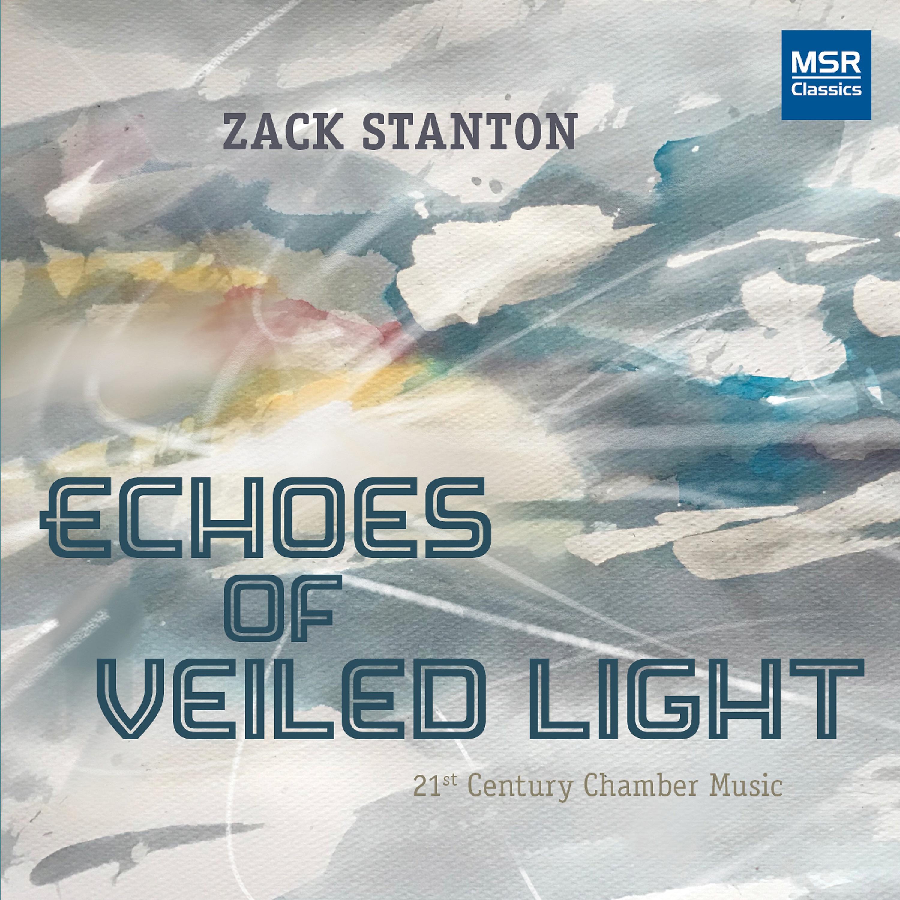 Постер альбома Echoes of Veiled Light - 21st Century Chamber Music
