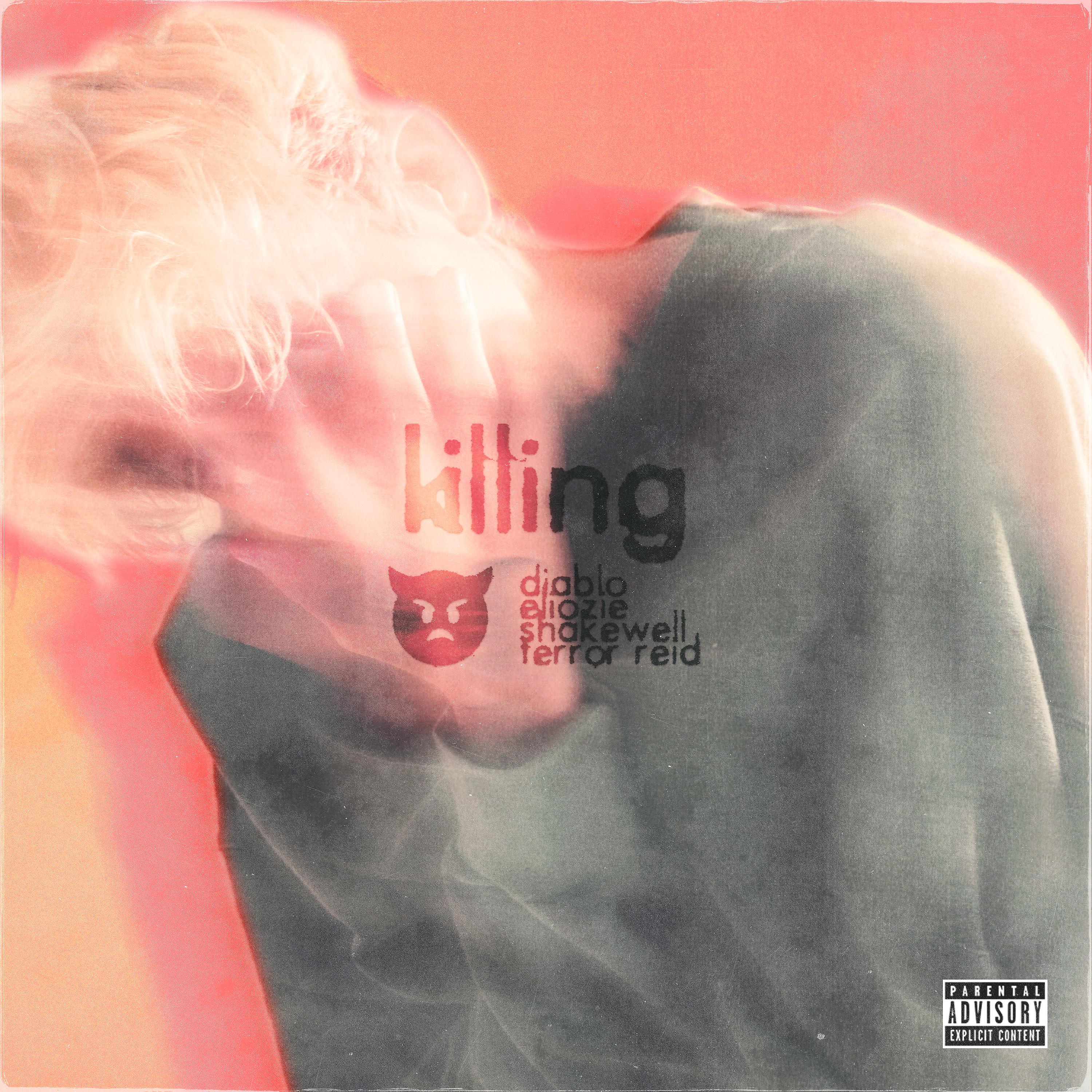 Постер альбома Killing (feat. Terror Reid)