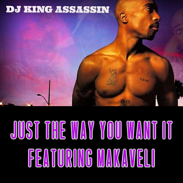 DJ King Assassin - Just The Way You Want It (feat. Makaveli)