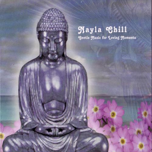 Постер альбома Nayla Chill