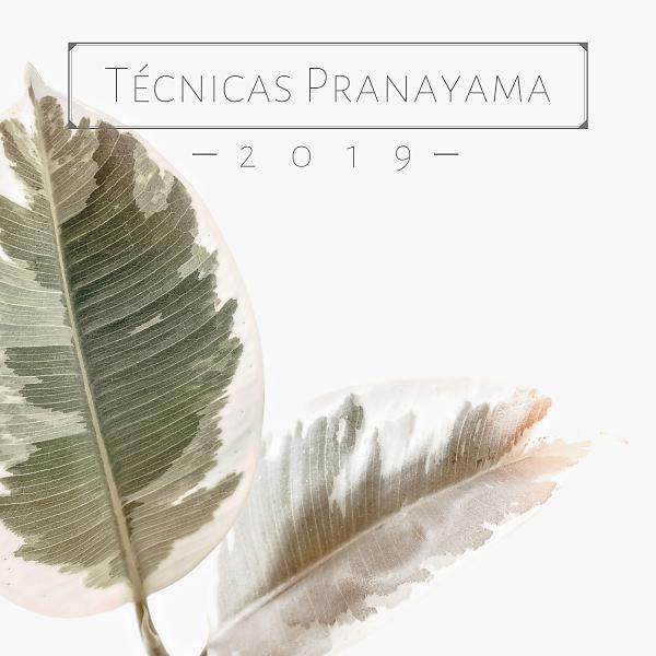 Постер альбома Técnicas Pranayama 2019 - 20 Canciones Ejercicios de Respiración y Yoga