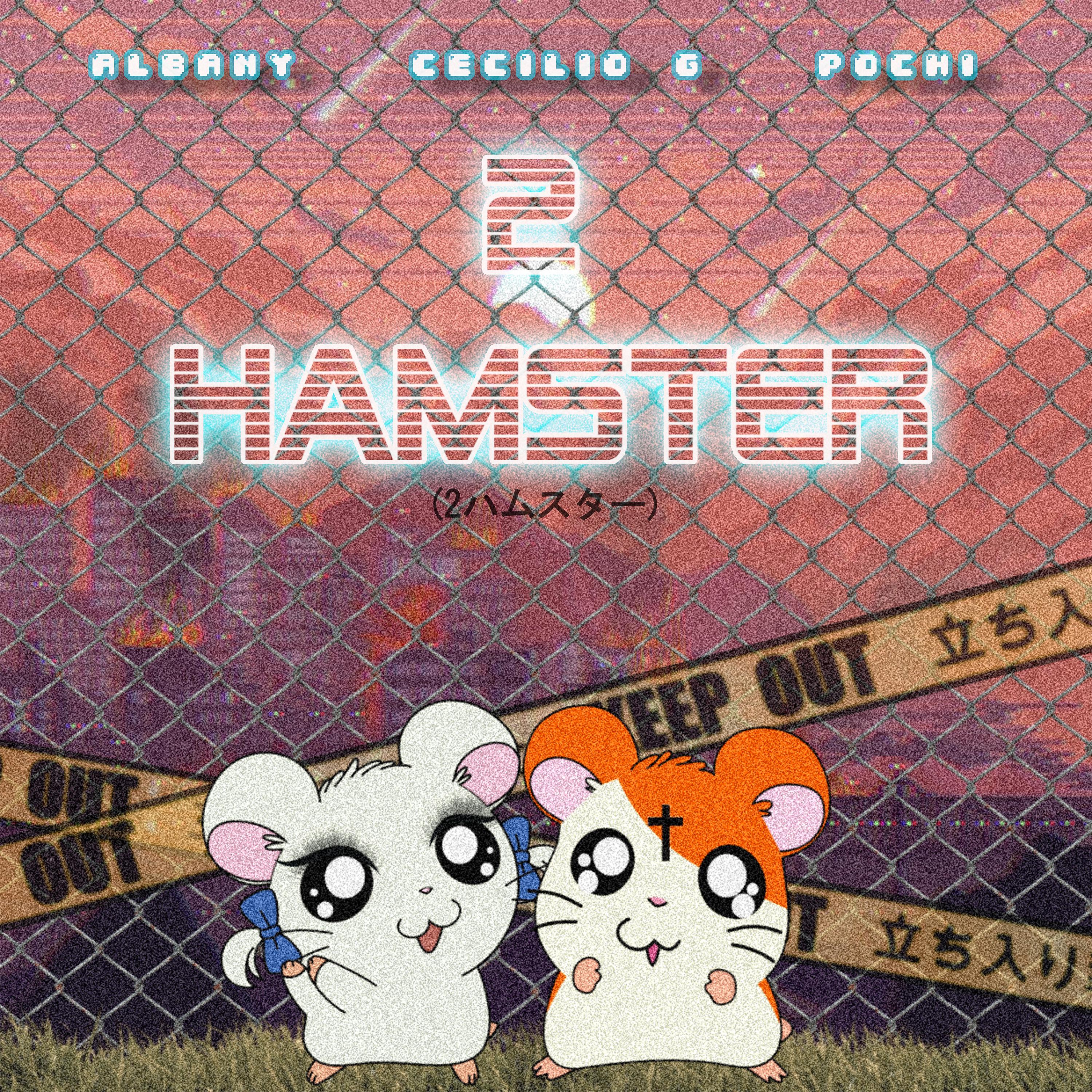 Постер альбома 2 Hámster