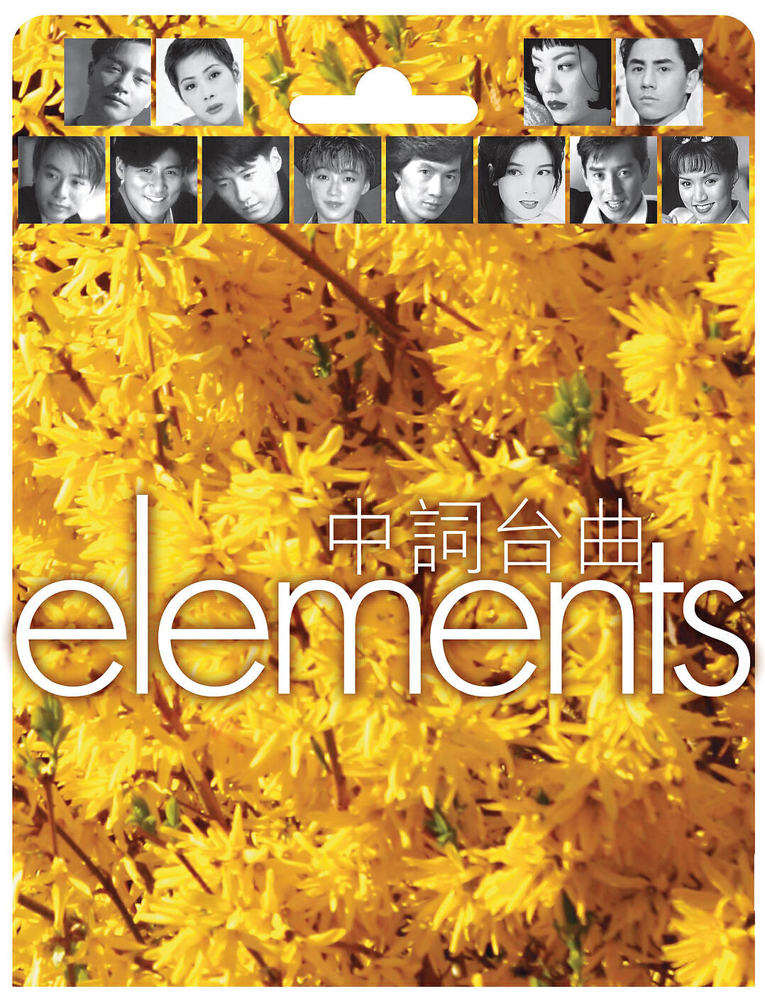 Faye Wong - Ai Yu Tong De Bian Yuan (Album Version)