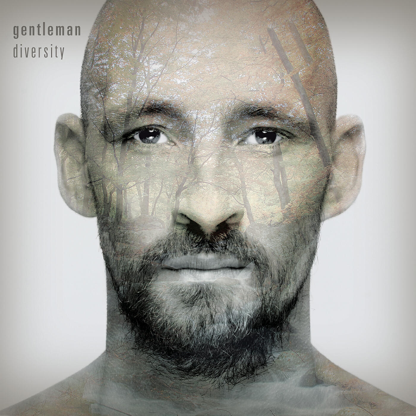 Gentleman - Hold On Strong