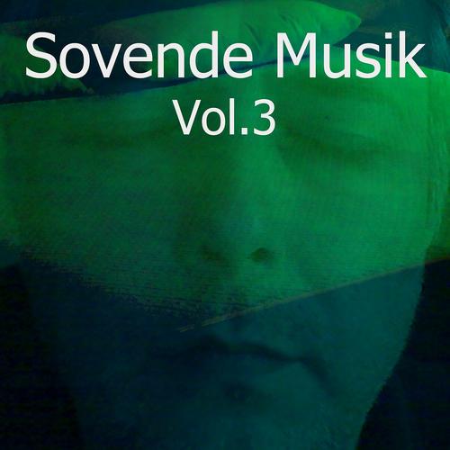 Постер альбома Sovende Musik, Vol. 3